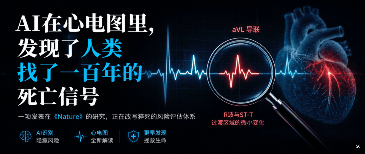 AI在心电图里，发现了人类找了一百年的死亡信号